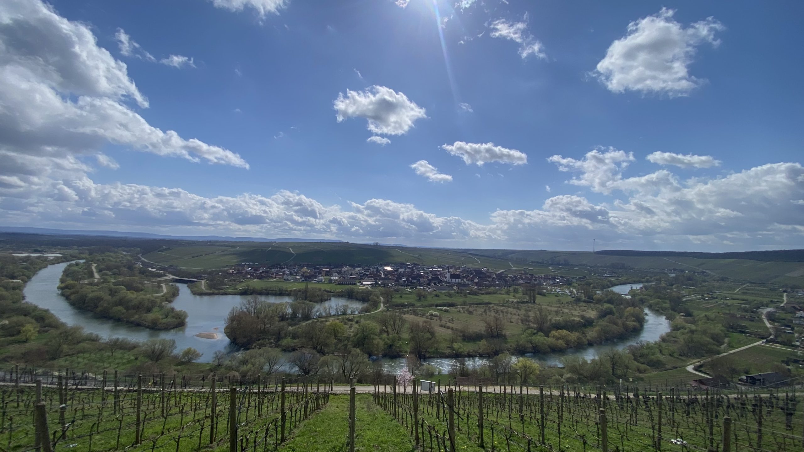Blick über die Mainschleife in Mainfranken